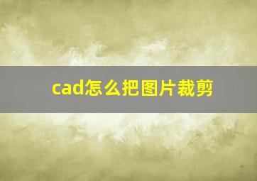 cad怎么把图片裁剪