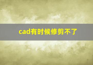 cad有时候修剪不了