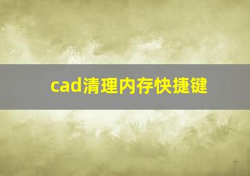 cad清理内存快捷键