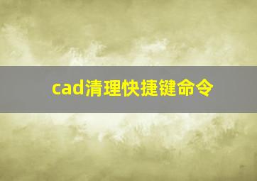 cad清理快捷键命令