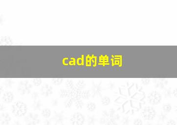 cad的单词