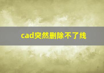 cad突然删除不了线