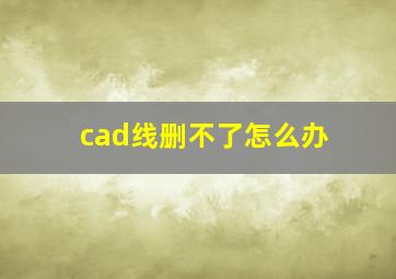 cad线删不了怎么办