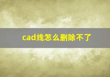 cad线怎么删除不了