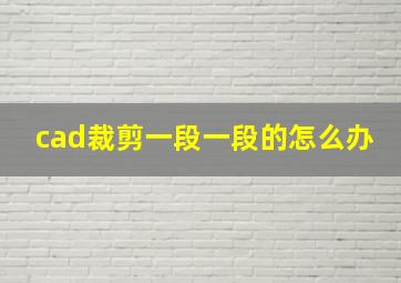 cad裁剪一段一段的怎么办