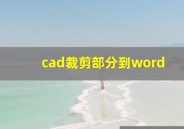 cad裁剪部分到word