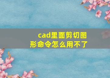 cad里面剪切图形命令怎么用不了