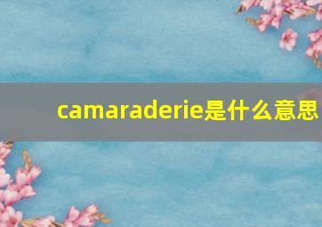 camaraderie是什么意思