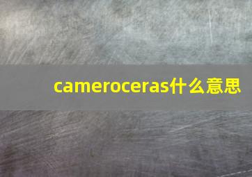 cameroceras什么意思