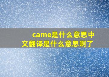 came是什么意思中文翻译是什么意思啊了