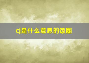 cj是什么意思的饭圈