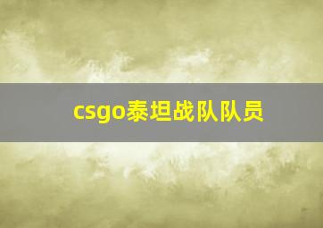 csgo泰坦战队队员