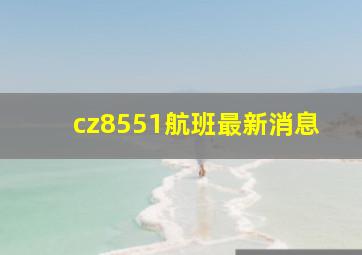 cz8551航班最新消息