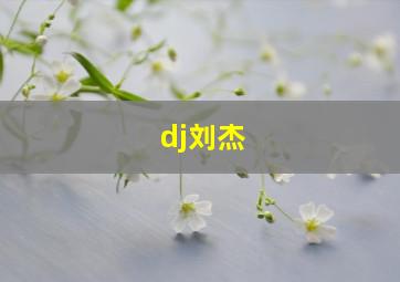 dj刘杰