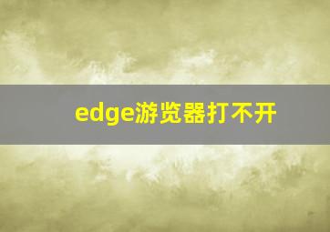 edge游览器打不开