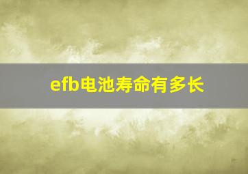 efb电池寿命有多长