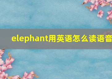 elephant用英语怎么读语音