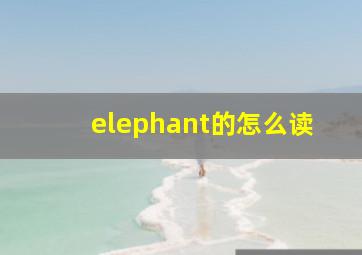 elephant的怎么读