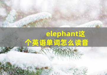 elephant这个英语单词怎么读音