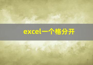 excel一个格分开