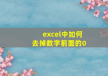 excel中如何去掉数字前面的0