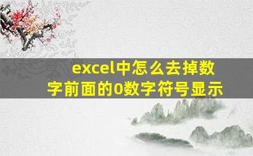 excel中怎么去掉数字前面的0数字符号显示