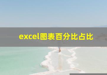 excel图表百分比占比