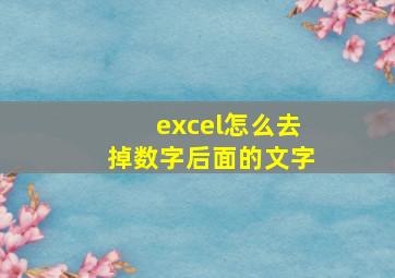 excel怎么去掉数字后面的文字