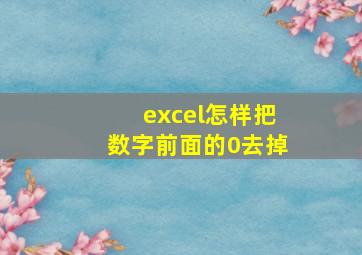 excel怎样把数字前面的0去掉