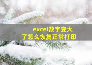 excel数字变大了怎么恢复正常打印