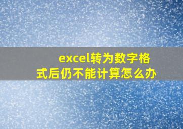 excel转为数字格式后仍不能计算怎么办