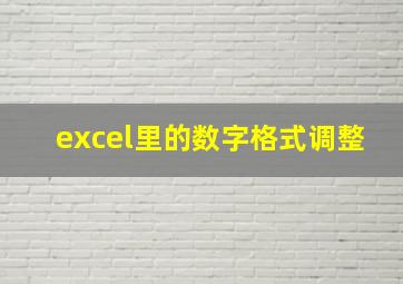 excel里的数字格式调整