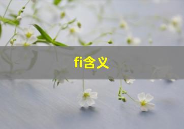 fi含义