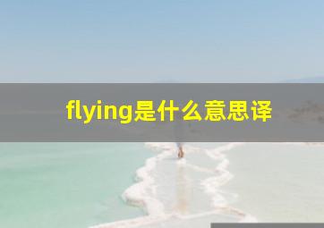 flying是什么意思译