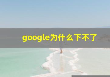 google为什么下不了