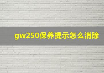 gw250保养提示怎么消除