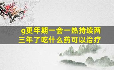 g更年期一会一热持续两三年了吃什么药可以治疗