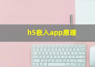 h5嵌入app原理