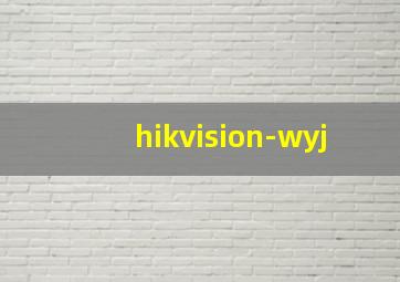 hikvision-wyj