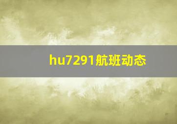 hu7291航班动态