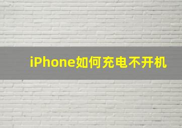 iPhone如何充电不开机