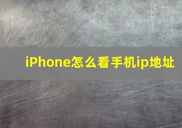 iPhone怎么看手机ip地址