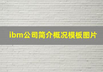 ibm公司简介概况模板图片