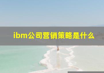 ibm公司营销策略是什么