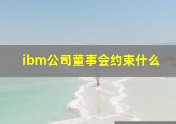 ibm公司董事会约束什么