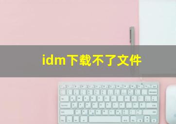 idm下载不了文件