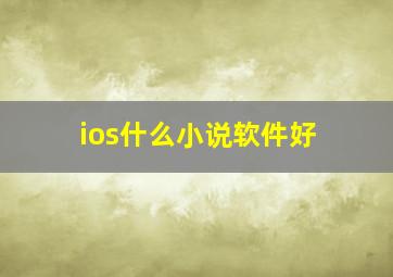 ios什么小说软件好