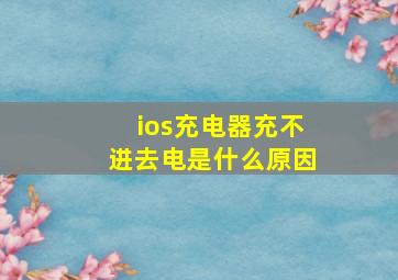 ios充电器充不进去电是什么原因