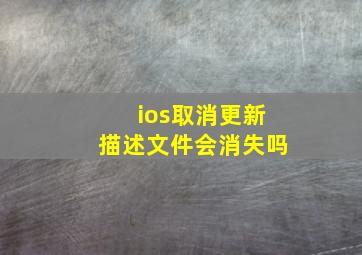 ios取消更新描述文件会消失吗