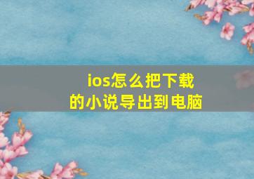 ios怎么把下载的小说导出到电脑